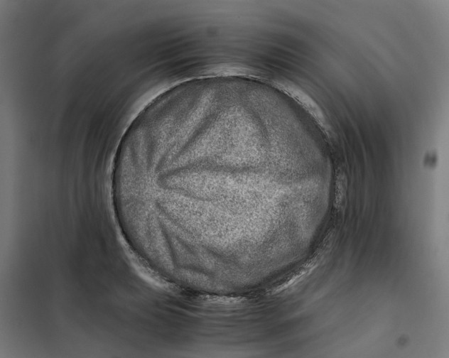 X0000101711039200808071218