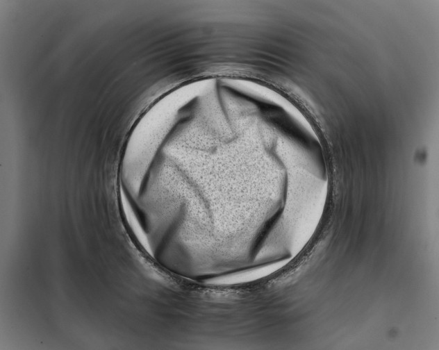 X0000101711041200808071218