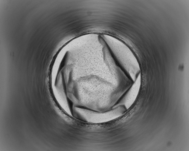 X0000101711042200808071218