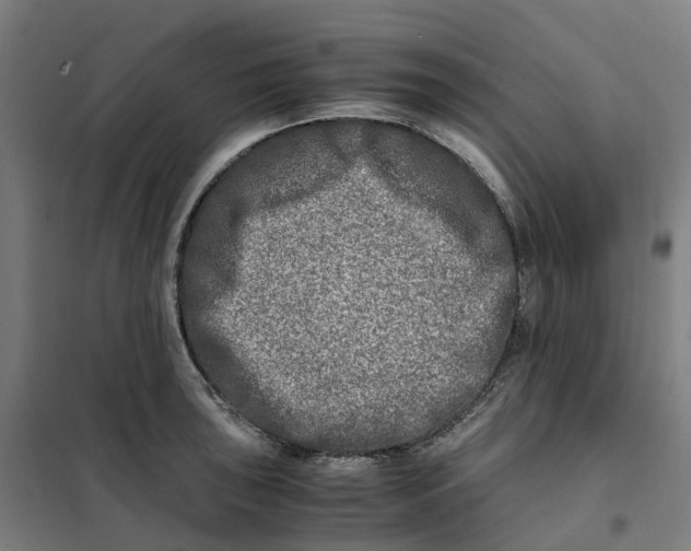X0000101711043200808071218