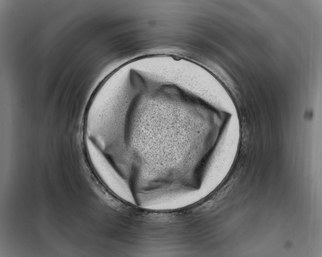X0000101711044200808071218