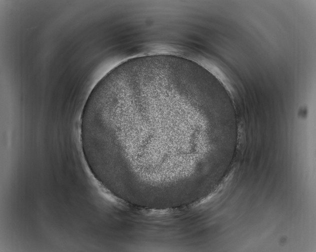 X0000101711047200808071218