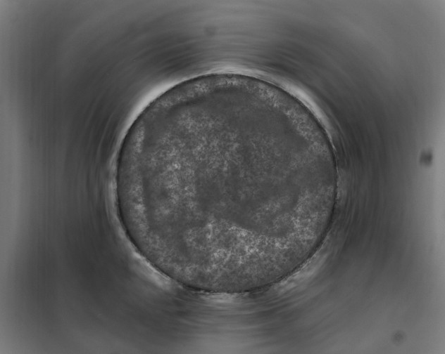 X0000101711048200808071218