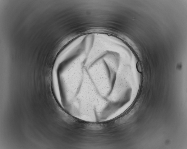 X0000101711049200808071218