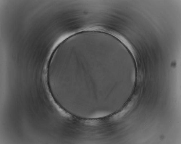 X0000101711053200808071218