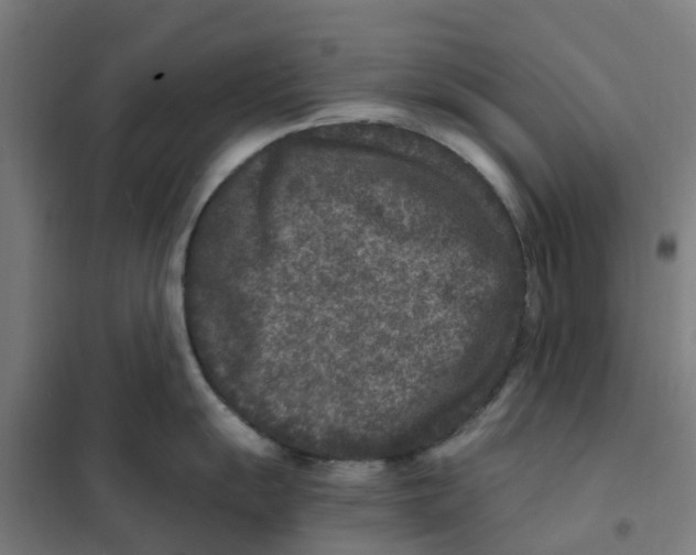 X0000101711055200808071218