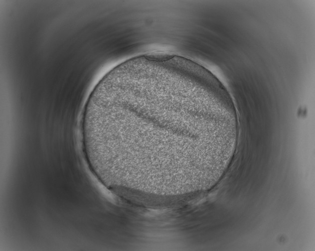 X0000101711056200808071218