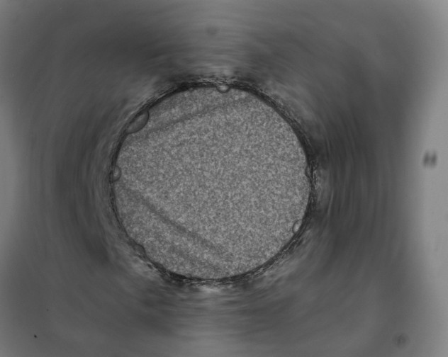 X0000101711057200808071217
