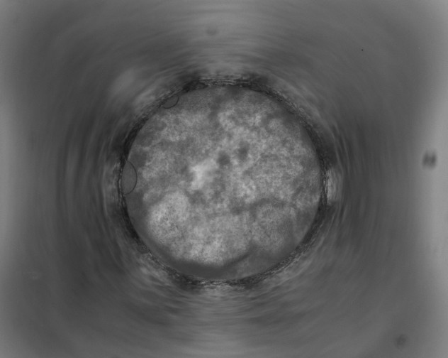 X0000101711059200808071217