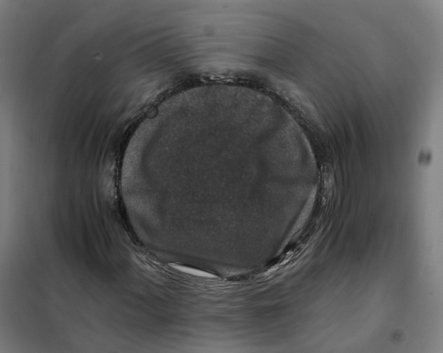 X0000101711060200808071217