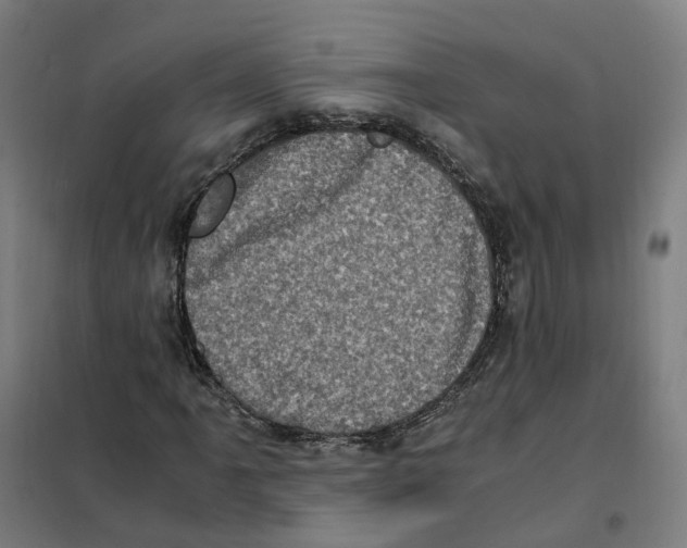 X0000101711061200808071217