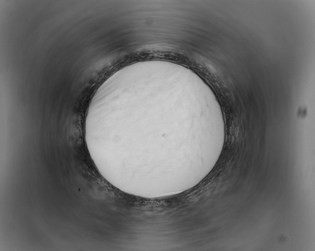 X0000101711062200808071217