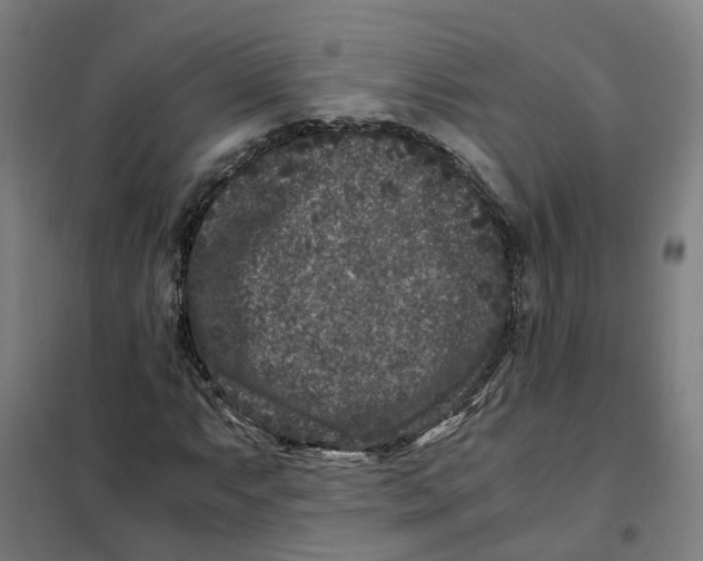 X0000101711063200808071217