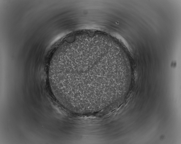X0000101711064200808071217