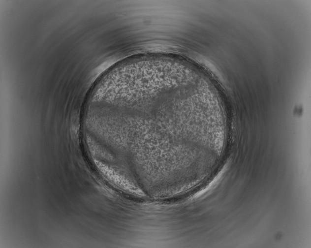 X0000101711065200808071217
