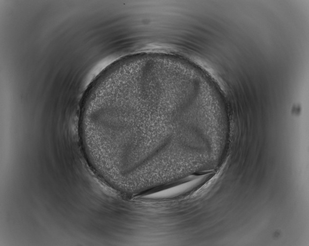 X0000101711066200808071217