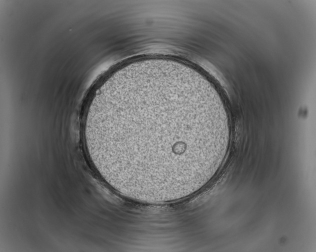 X0000101711067200808071217