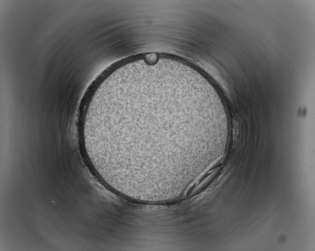 X0000101711068200808071217
