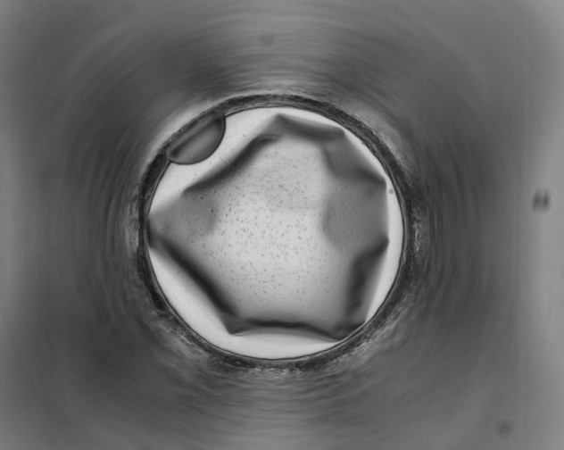 X0000101711069200808071217