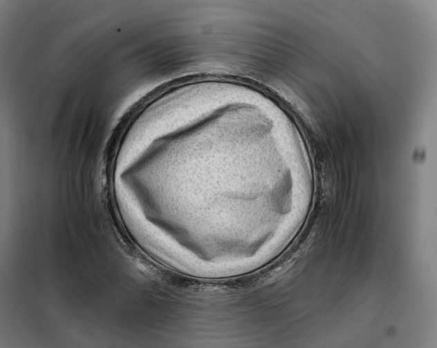 X0000101711070200808071217