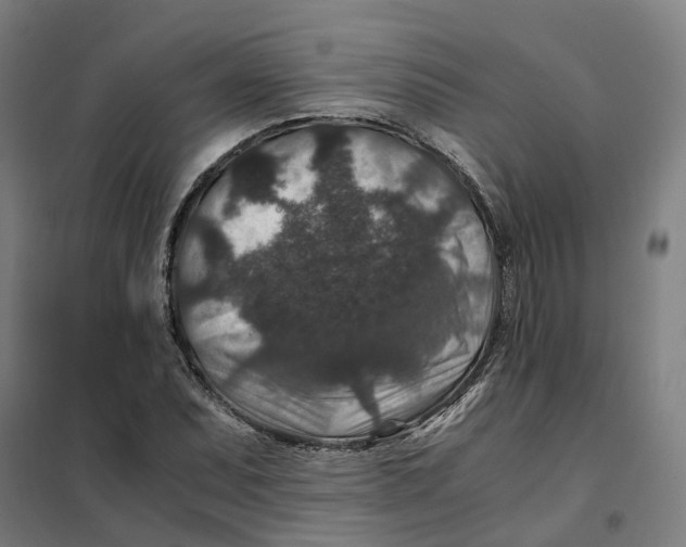 X0000101711071200808071217