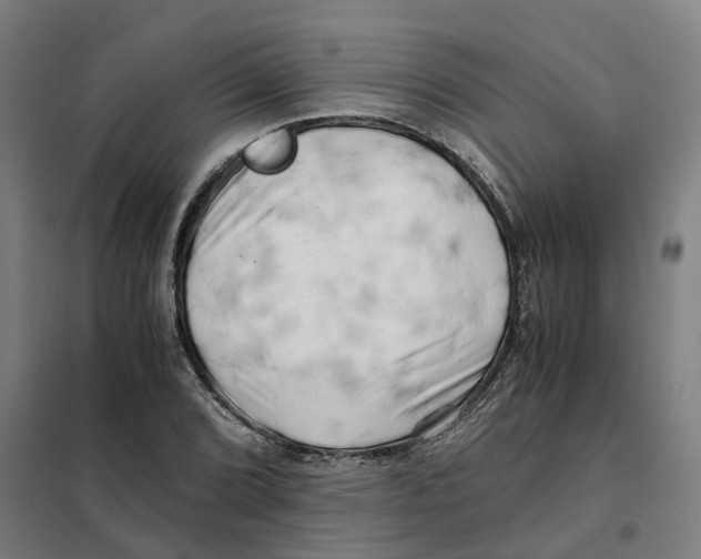 X0000101711072200808071217