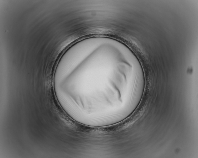 X0000101711073200808071217