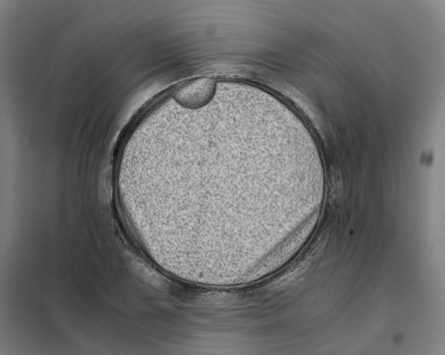 X0000101711075200808071217