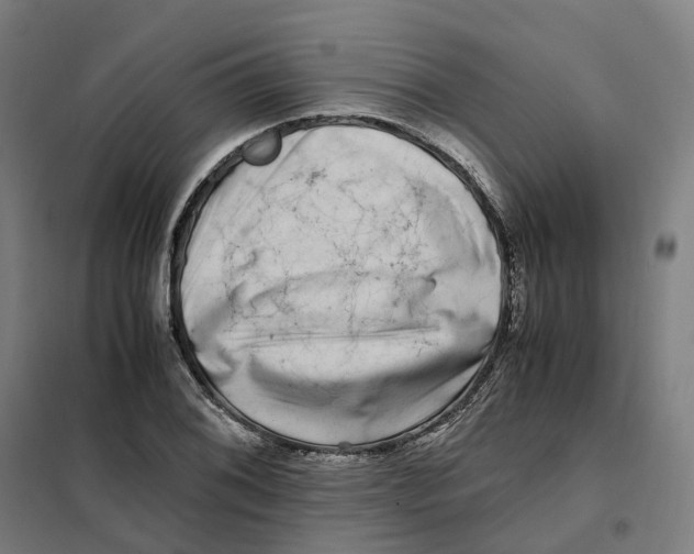 X0000101711076200808071217