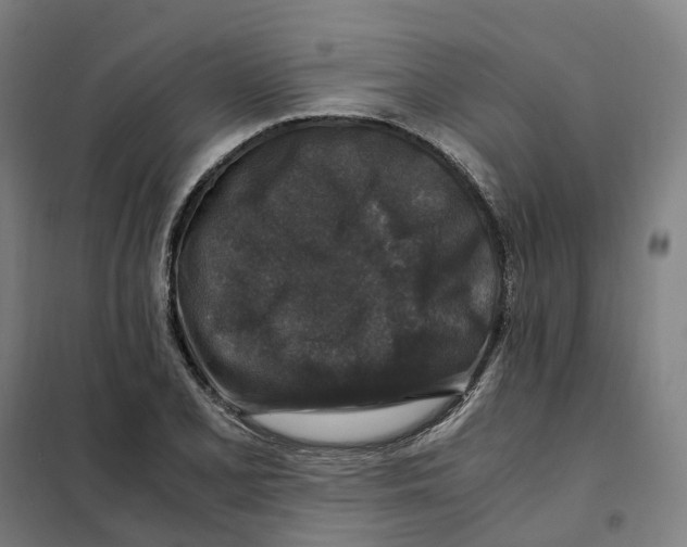 X0000101711077200808071217
