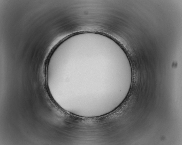 X0000101711078200808071217