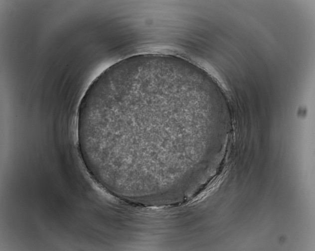 X0000101711079200808071217
