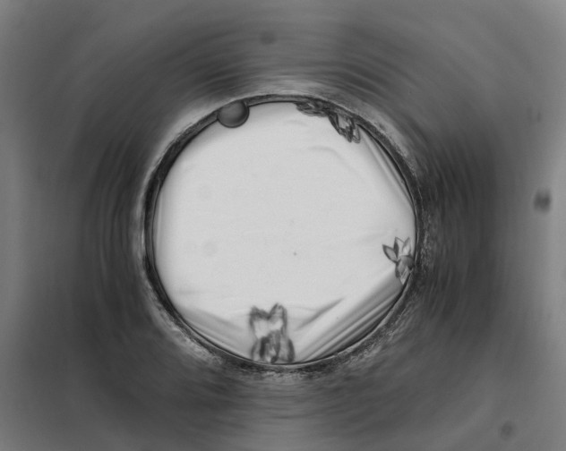 X0000101711080200808071217