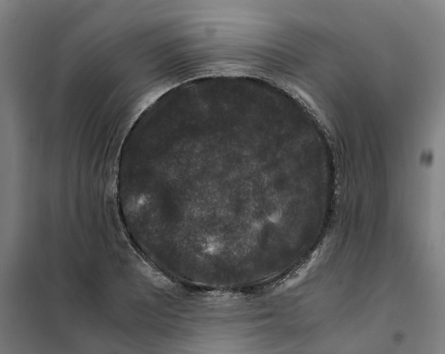 X0000101711081200808071217