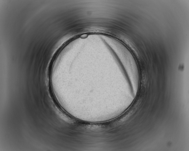 X0000101711082200808071217