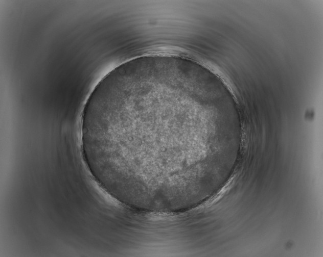 X0000101711083200808071217