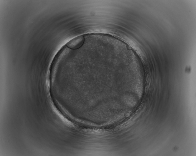 X0000101711084200808071217