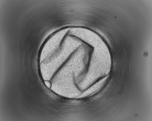 X0000101711085200808071217