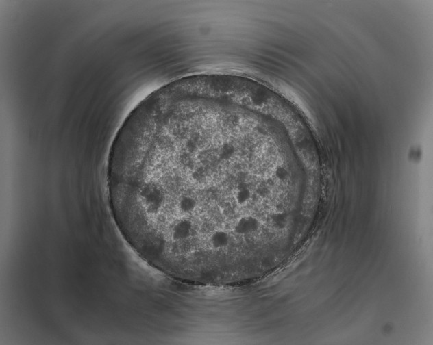 X0000101711087200808071217
