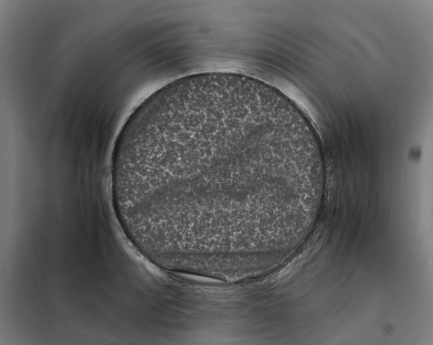 X0000101711088200808071217