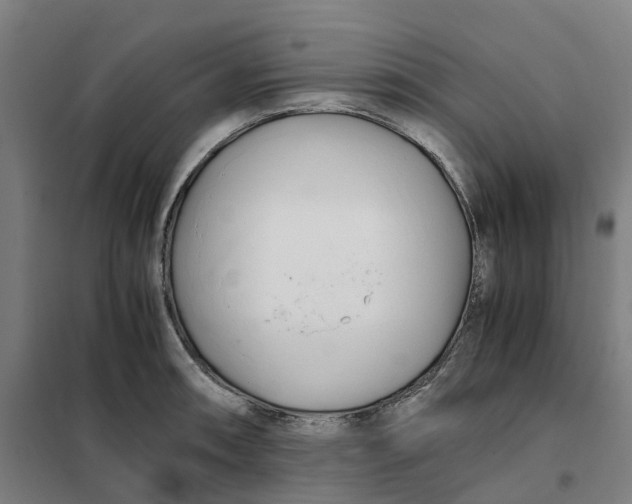 X0000101711090200808071217