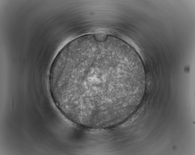 X0000101711091200808071217