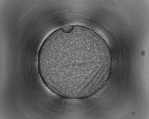 X0000101711092200808071217