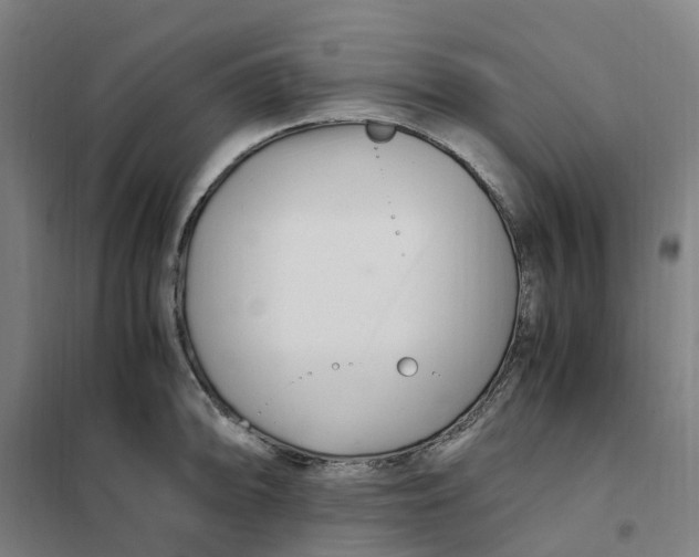 X0000101711094200808071217