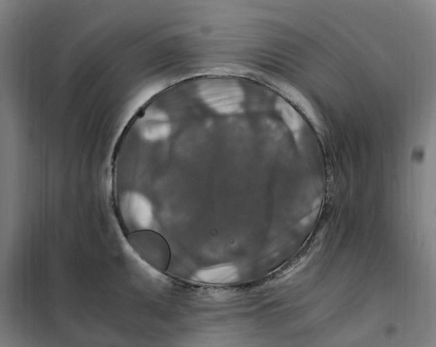 X0000101711095200808071217