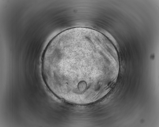 X0000101711096200808071217