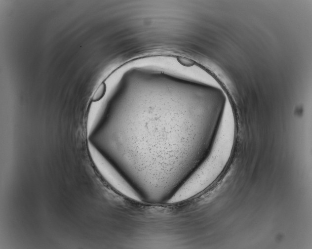 X0000101711097200808071217