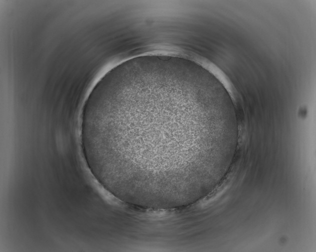 X0000101711099200808071217