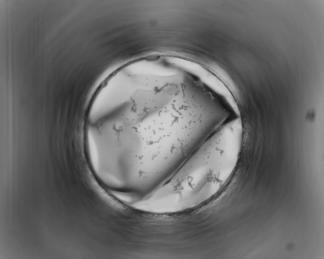 X0000101711100200808071217