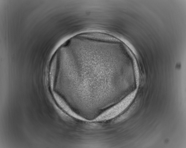 X0000101711101200808071217